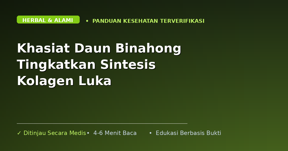 Khasiat Daun Binahong Tingkatkan Sintesis Kolagen Luka